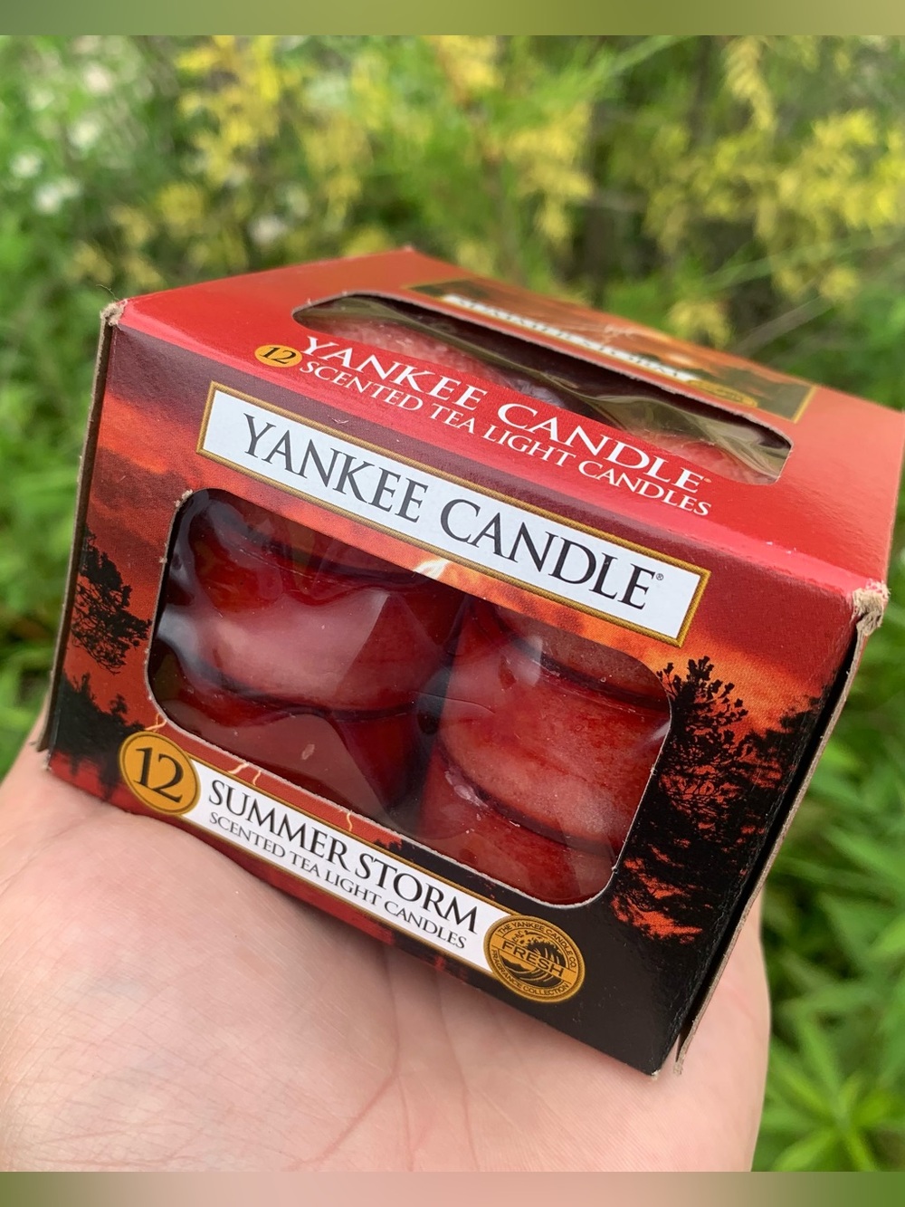NIB Rare Yankee Candle Summer Storm Tea Lights 12pk